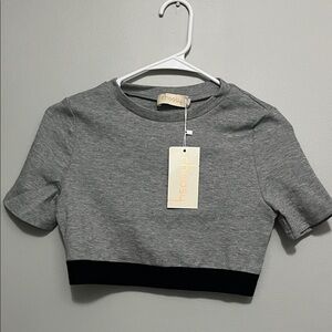 Choosy Gray and Black Crop Top
